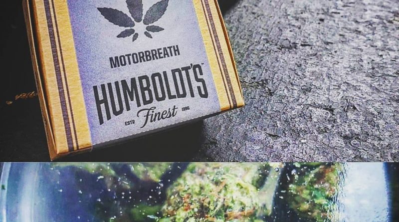 motorbreath by humboldt's finest strain review by herbtwist