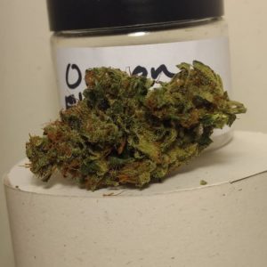 oregon elephant flattener by old world organics strain review by pdxstoneman 2