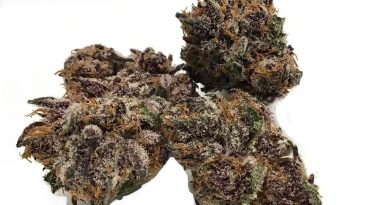 pink kush by aeriz strain review by cannacase.420