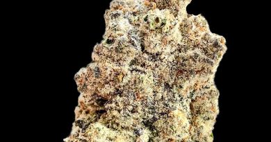 platinum jelly by hideaway farms strain review by okcannacritic