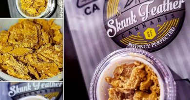 ruby slippers crumble by skunk feather concentrate review by herbtwist