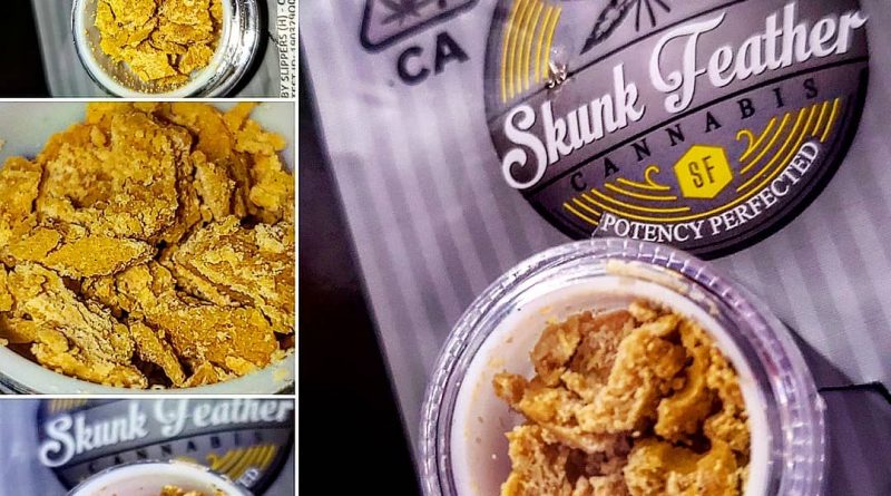 ruby slippers crumble by skunk feather concentrate review by herbtwist