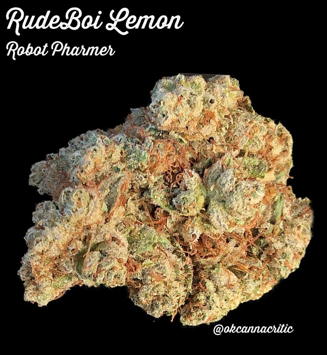 Rudeboi Lemon By Robot Pharmer Strain Review By Okcannacritic 