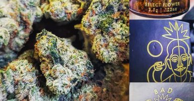 serpent og by bad apple from caliva strain review by herbtwist