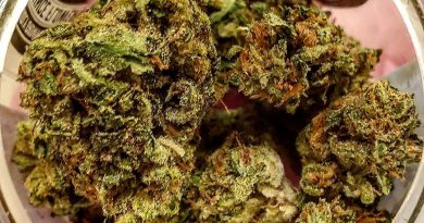 sex on the peach by willie's reserve strain review by herbtwist