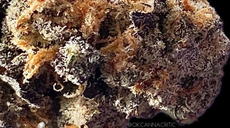 sherbet cookies by eclipse pharms strain review by okcannacritic