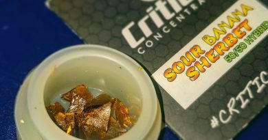 sour banana sherbet shatter concentrate review by herbtwist