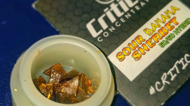 sour banana sherbet shatter concentrate review by herbtwist