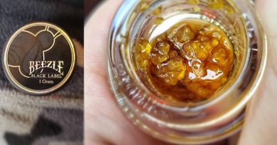 star gelato sauce by beezle extracts concentrate review by herbtwist