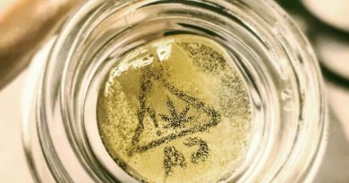 strawberry funnel cake live hash rosin by kalya extracts concentrate review by herbtwist