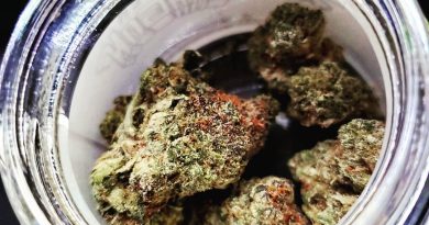sunset cookies by green dragon strain review by herbtwist