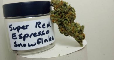 super red espresso snowflake by old world organics strain review by pdxstoneman 2