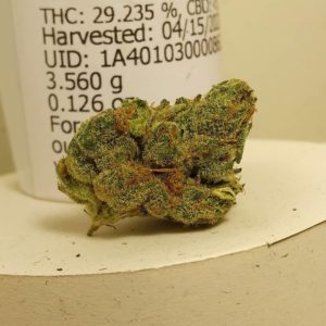 triangle kush tangie by resin ranchers strain review by pdxstoneman 2