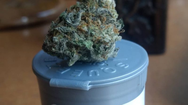 triple chocolate chip from tetra pdx strain review by pdxstoneman 2