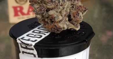 tropicanna cookies by focus north gardens strain review by pdxstoneman