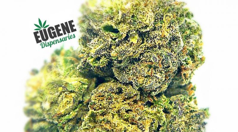 whitaker blues by orekron strain review by eugene.dispensaries