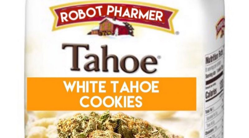 white tahoe cookies by robot pharmer strain review by okcannacritic