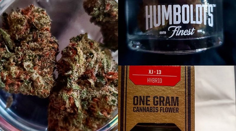 xj-13 by humboldt's finest strain review by herbtwist