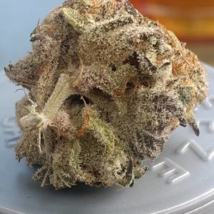 zurple punch by high noon cultivation strain review by pdxstoneman 2