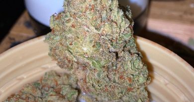 ROC OG by woodland reserve strain review by trunorcal420