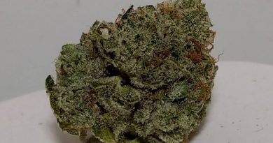 allen wrench from releaf health strain review by pdxstoneman