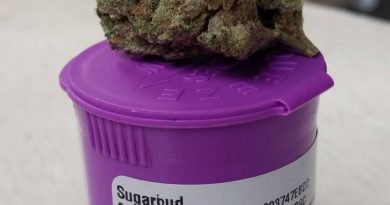 animal face by sugarbud strain review by pdxstoneman