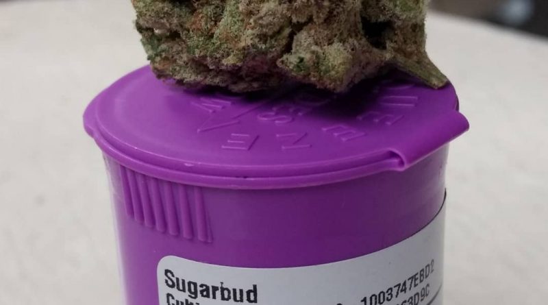 animal face by sugarbud strain review by pdxstoneman