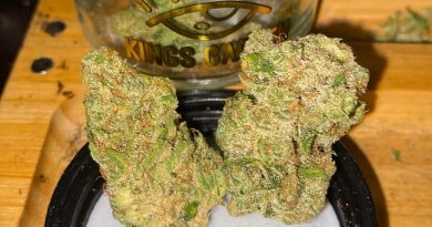 banana og by kings garden strain review by trunorcal420 3