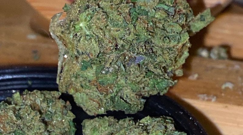 biscotti by humboldt farms strain review by trunorcal420