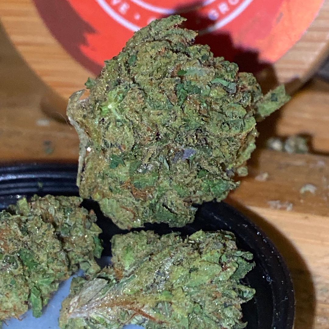 Strain Review: Biscotti by Humboldt Farms - The Highest Critic