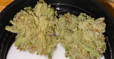 bob saget by sweetwater pharms strain review by trunorcal420