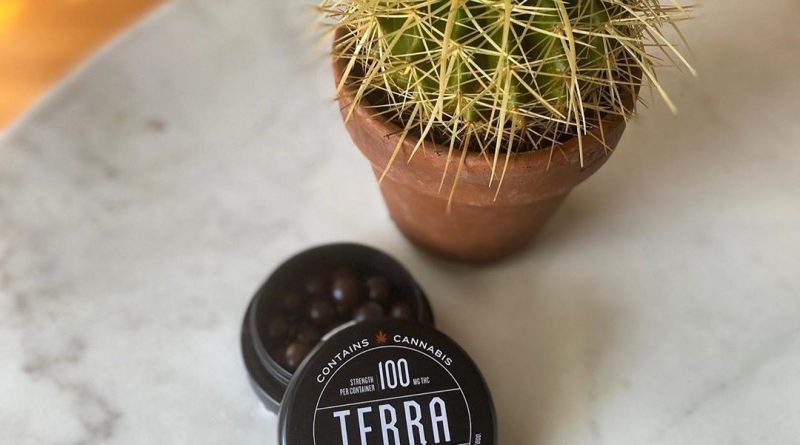 dark chocolate espresso beans terra bites by kiva edible review by upinsmokesession