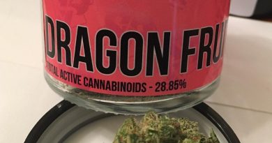 dragon fruit by pearl pharma strain review by trunorcal420