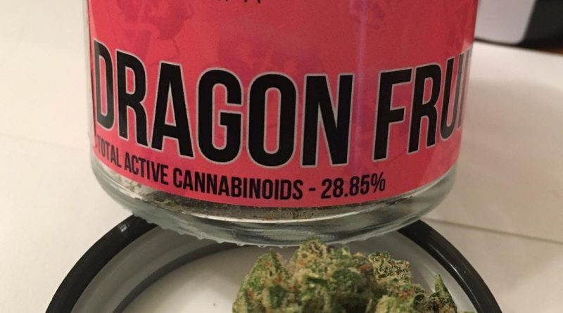 dragon fruit by pearl pharma strain review by trunorcal420