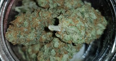 east coast stardawg by greenpoint seeds strain review by ninthtimelucky