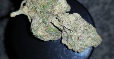french cookies by th seeds strain review by ninthtimelucky