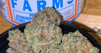 g-loc by rio vista farms strain review by trunorcal420