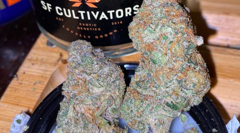g-mints by sf cultivators strain review by trunorcal420