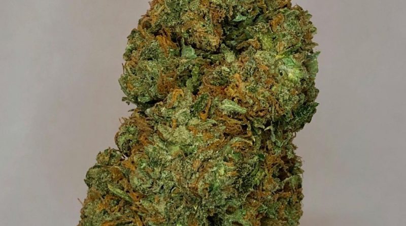 ghost og by apothecary genetics strain review by cannabisseur604