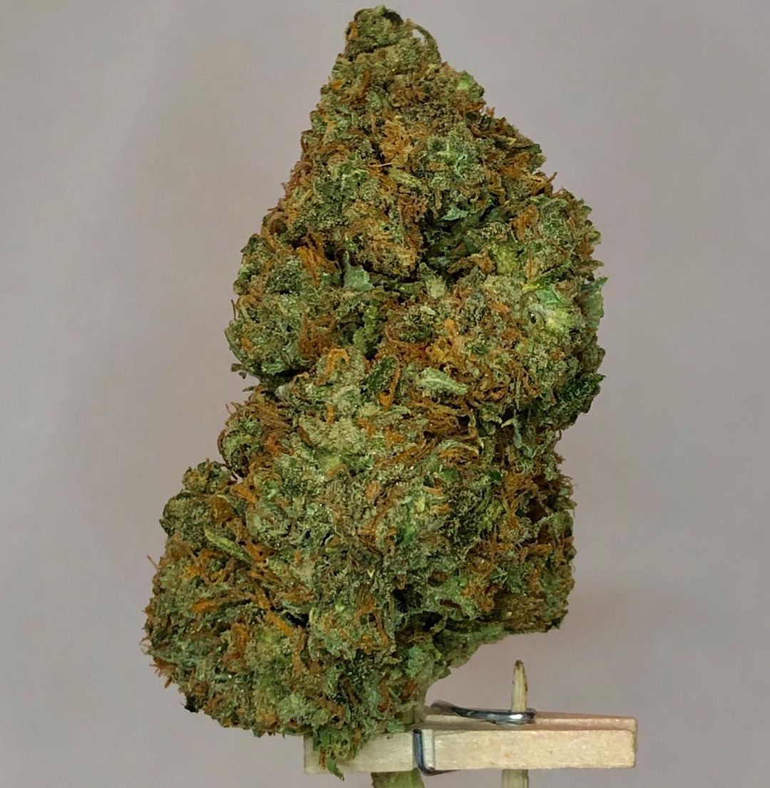 Strain Review Ghost OG by Apothecary The Highest Critic