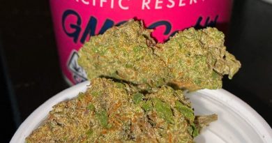 gmo cookies by pacific reserve strain review by trunorcal420