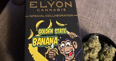 golden state banana by elyon cannabis strain review by trunorcal420