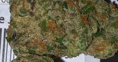 grape jelly by lolo strain review by trunorcal420