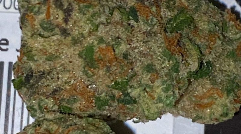 grape jelly by lolo strain review by trunorcal420