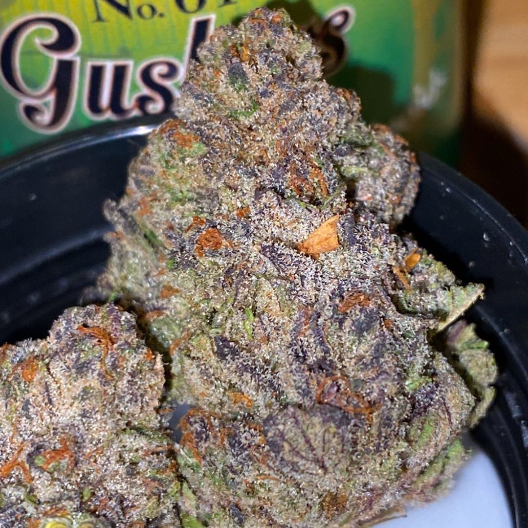 Strain Review: Gushers by Sweetwater Pharms - The Highest Critic.