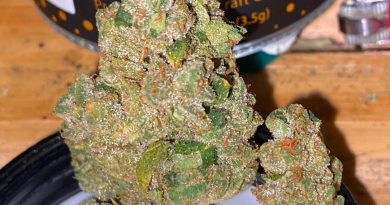 han solo burger by high grade farms strain review by trunorcal420 3