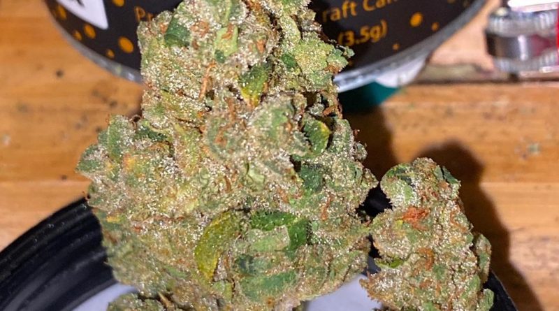 han solo burger by high grade farms strain review by trunorcal420 3