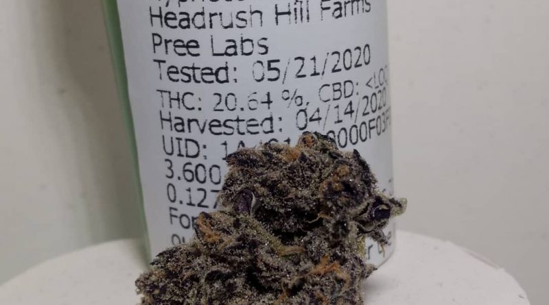 hypnotoad by headrush hill farms strain review by pdxstoneman