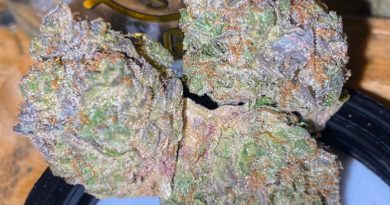 kgb by kings garden strain review by trunorcal420