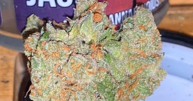 kosher jack by pearl pharma strain review by trunorcal420